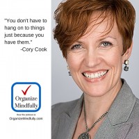 Cory Cook Podcast Interview Organize Mindfully