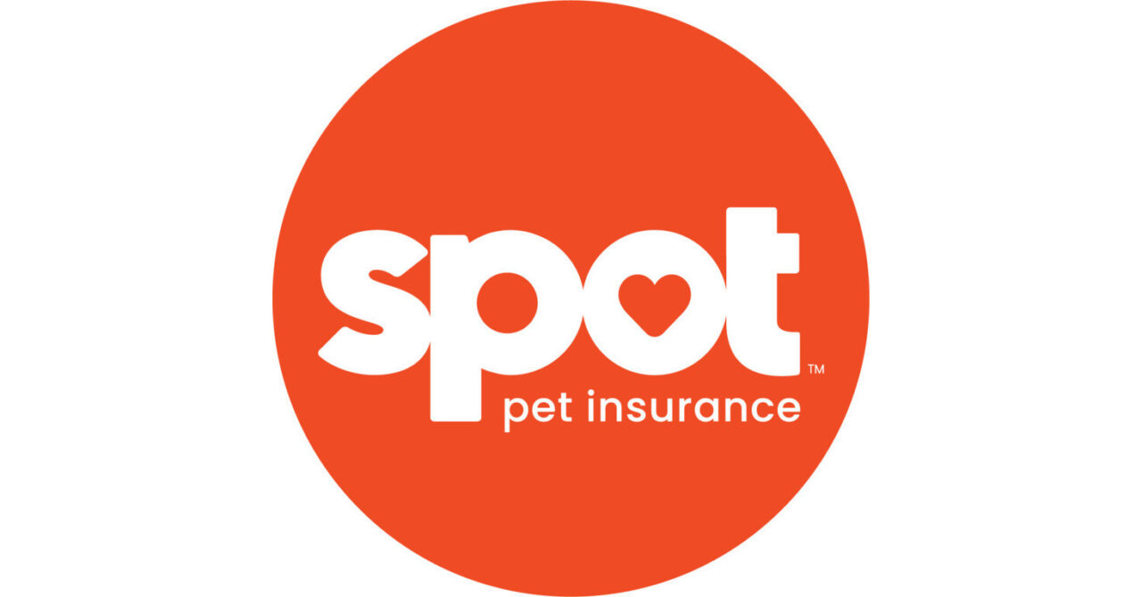 Spot Pet Insurance How To Be Productive With Dogs At Work Cory Cook 